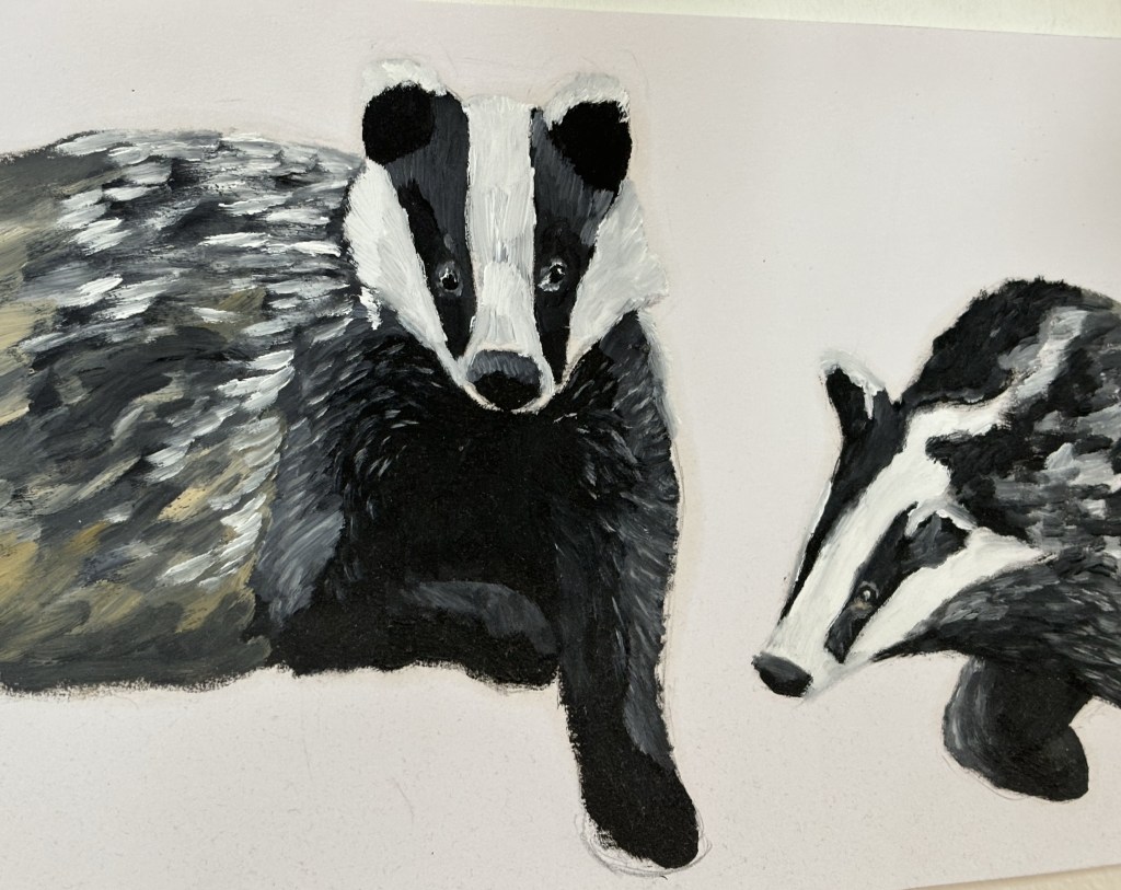 A WIP of two badgers, oil on paper